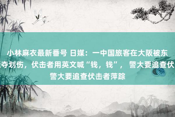 小林麻衣最新番号 日媒：一中国旅客在大阪被东说念主褫夺划伤，伏击者用英文喊“钱，钱”， 警大要追查伏击者萍踪