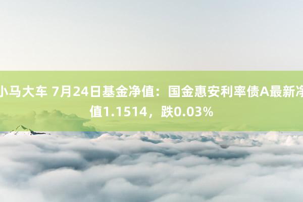 小马大车 7月24日基金净值：国金惠安利率债A最新净值1.1514，跌0.03%