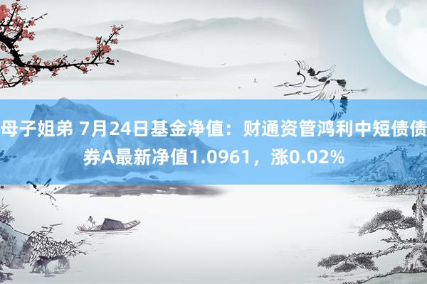 母子姐弟 7月24日基金净值：财通资管鸿利中短债债券A最新净值1.0961，涨0.02%