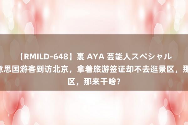 【RMILD-648】裏 AYA 芸能人スペシャル 无数好意思国游客到访北京，拿着旅游签证却不去逛景区，那来干啥？