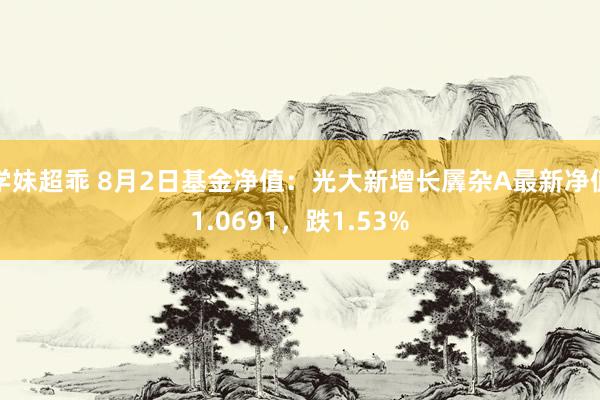 学妹超乖 8月2日基金净值：光大新增长羼杂A最新净值1.0691，跌1.53%