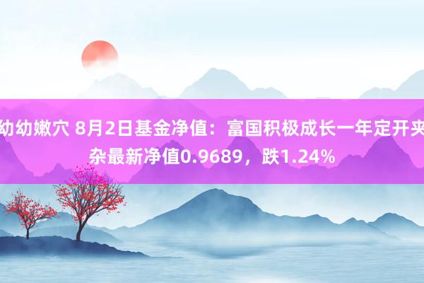 幼幼嫩穴 8月2日基金净值：富国积极成长一年定开夹杂最新净值0.9689，跌1.24%