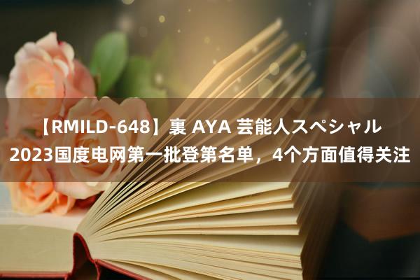 【RMILD-648】裏 AYA 芸能人スペシャル 2023国度电网第一批登第名单，4个方面值得关注