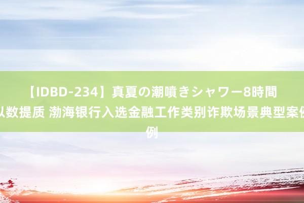 【IDBD-234】真夏の潮噴きシャワー8時間 以数提质 渤海银行入选金融工作类别诈欺场景典型案例