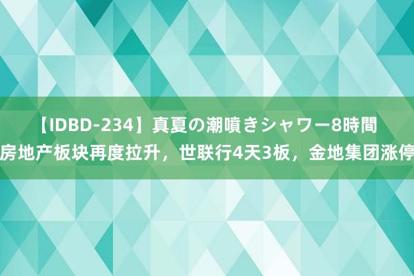 【IDBD-234】真夏の潮噴きシャワー8時間 房地产板块再度拉升，世联行4天3板，金地集团涨停