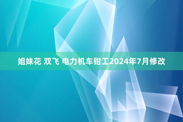 姐妹花 双飞 电力机车钳工2024年7月修改