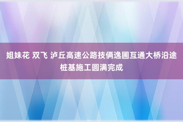 姐妹花 双飞 泸丘高速公路技俩逸圃互通大桥沿途桩基施工圆满完成