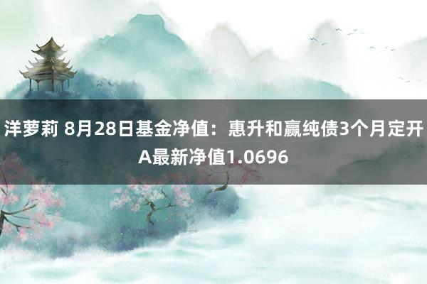 洋萝莉 8月28日基金净值：惠升和赢纯债3个月定开A最新净值1.0696