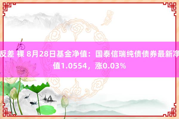 反差 裸 8月28日基金净值：国泰信瑞纯债债券最新净值1.0554，涨0.03%