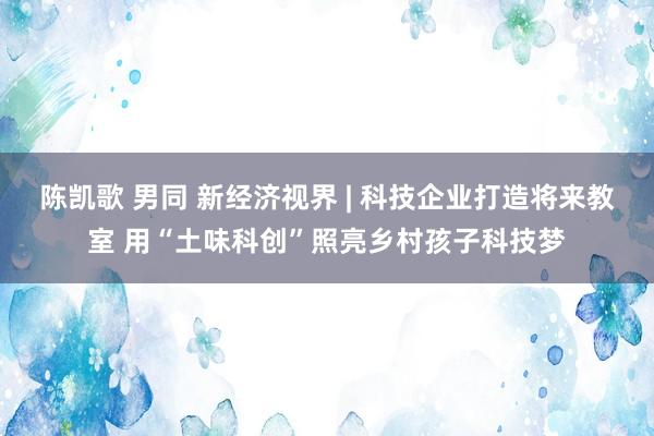 陈凯歌 男同 新经济视界 | 科技企业打造将来教室 用“土味科创”照亮乡村孩子科技梦