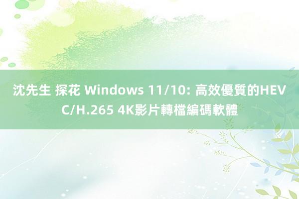 沈先生 探花 Windows 11/10: 高效優質的HEVC/H.265 4K影片轉檔編碼軟體