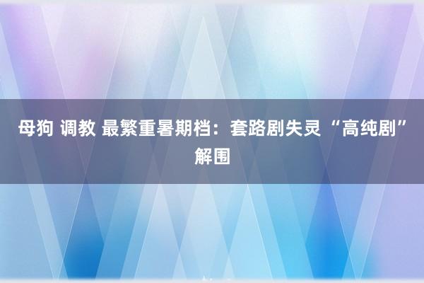 母狗 调教 最繁重暑期档：套路剧失灵 “高纯剧”解围