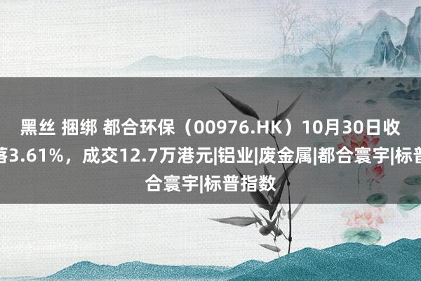 黑丝 捆绑 都合环保（00976.HK）10月30日收盘下落3.61%，成交12.7万港元|铝业|废金属|都合寰宇|标普指数